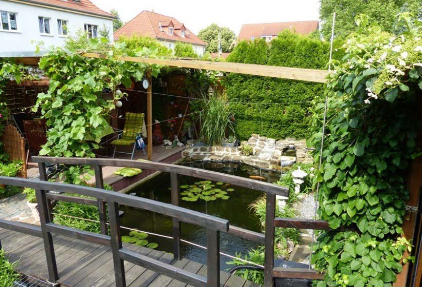 Teich anlegen Tipps zu Planung, Bepflanzung und mehr