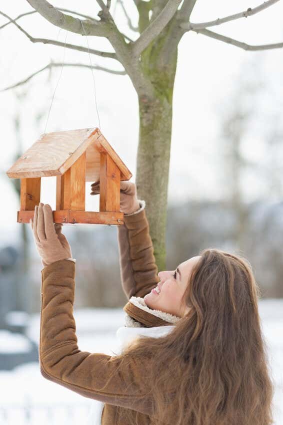 Frau-hängt-Vogelhaus-auf