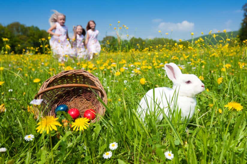 Ostern im Garten Tipps zu Deko, Rezepten, Pflanzen, Eiern
