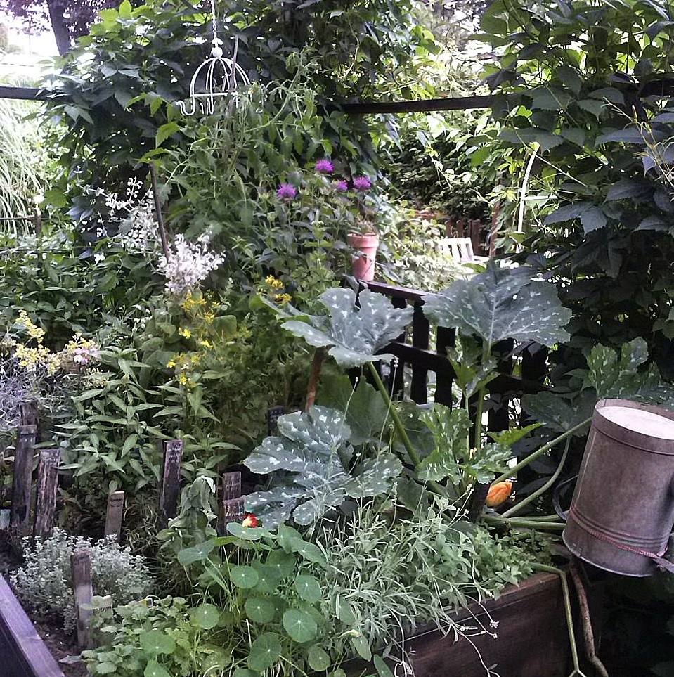 Kräutergarten - GartenHaus Magazin