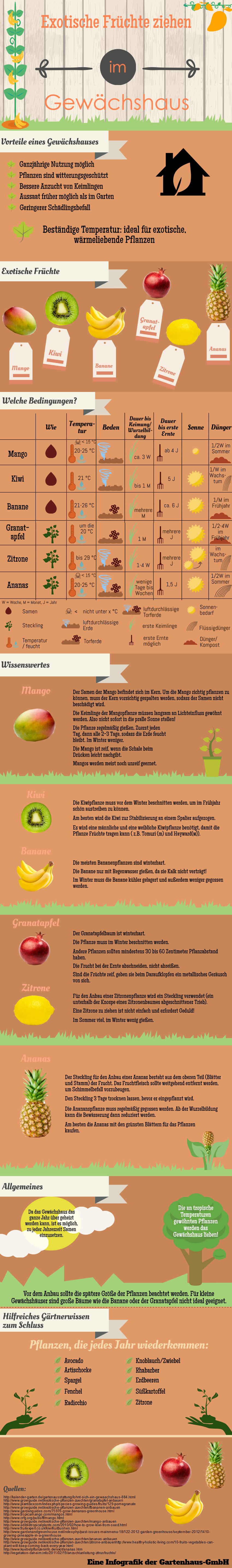 Exotische Fruechte im Gewaechshaus - Infografik