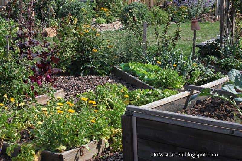 Gemüsegarten mit Hochbeet