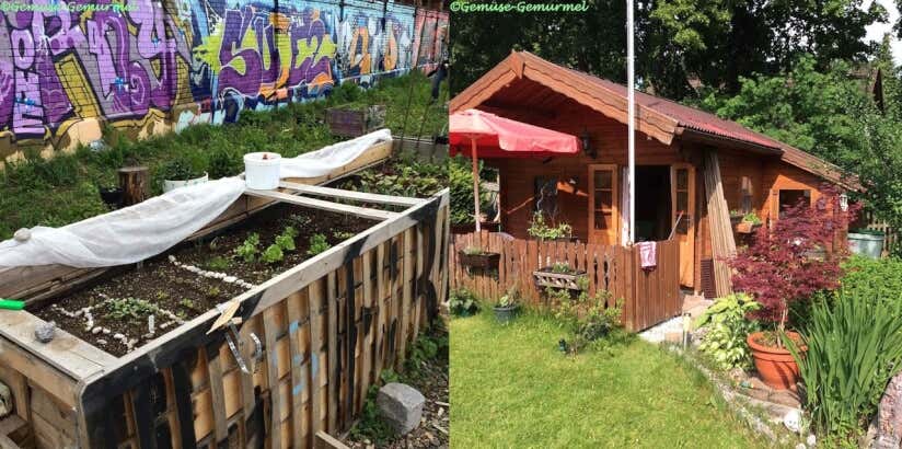 Angelas Kraut und Schrebergarten