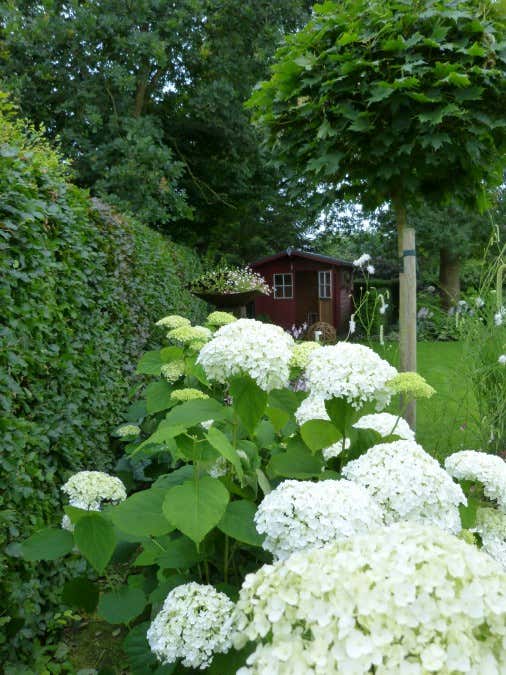 Garten-Gartenhaus - GartenHaus Magazin