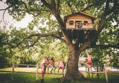 Wunschgarten der Kleinen: So stellen sich Kinder Garten und Gartenhaus vor Kinder Baum Baumhaus