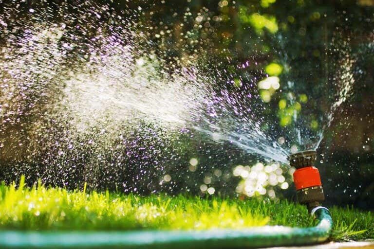 Rasen bewässern 10 Tricks zur richtigen Bewässerung