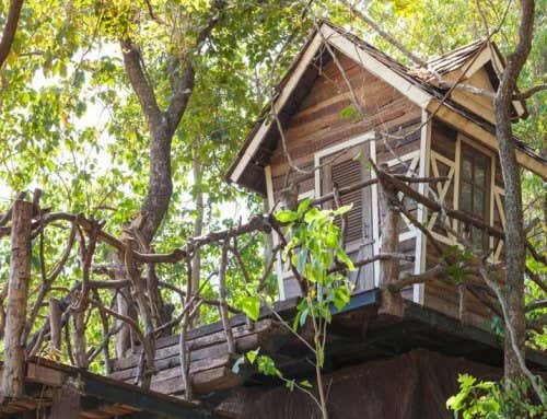 gartenhaus auf grundstücksgrenze gartenhaus auf grundstücksgrenze