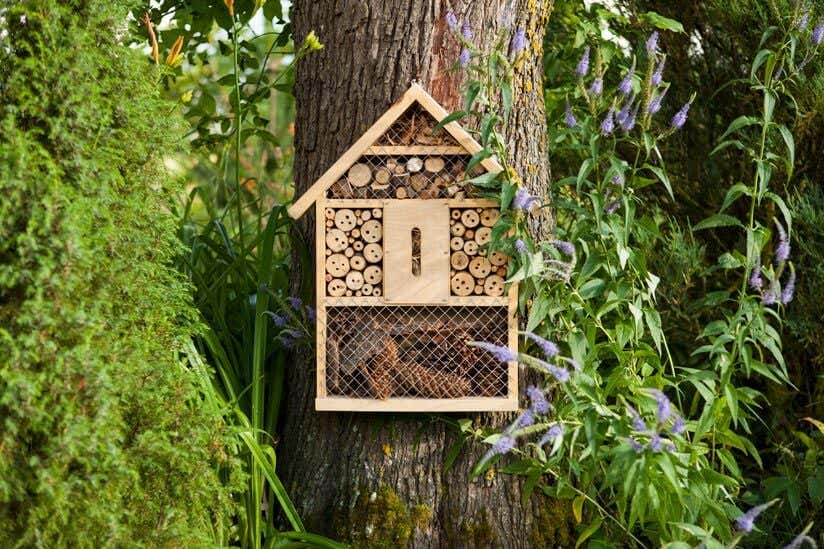 Insektenhotel aufstellen im Garten