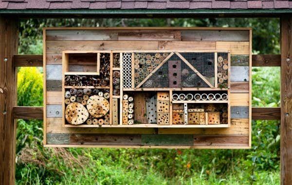 Tierfreundlicher Garten 15 gute Tipps & Tricks zur Gartengestaltung