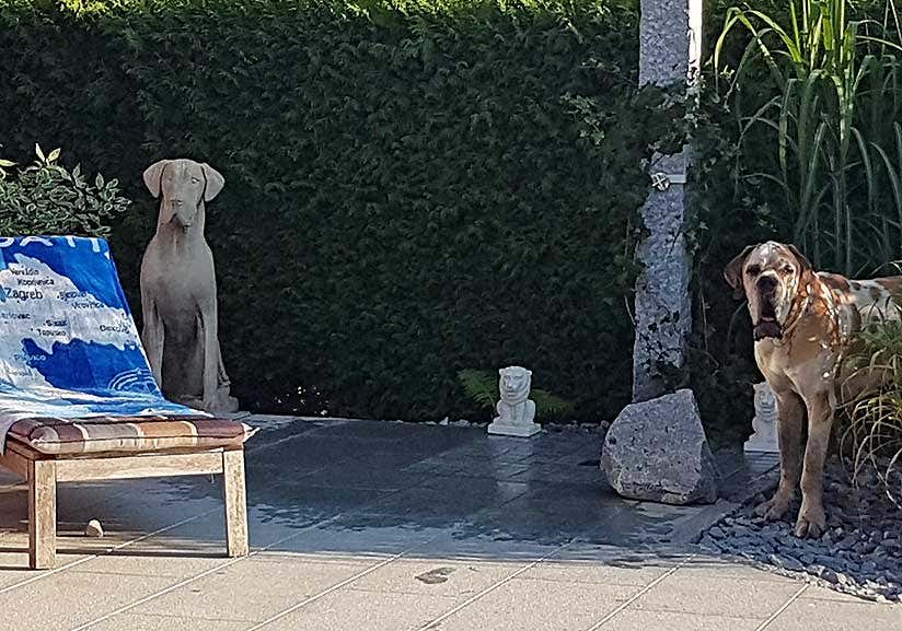 Haushund, Skulptur