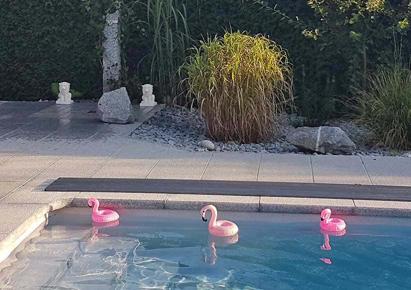 Pool mit Flamingos