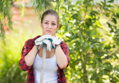 Für Gartenarbeit Bußgeld zahlen? Das müssen Sie wissen!