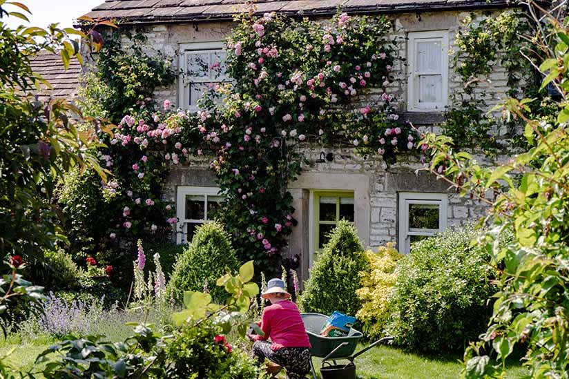 bepflanzter Garten im Landhausstil