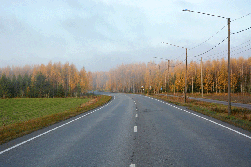 Saunaholz-wald-skaliert